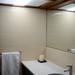 The bathroom is lit from an above skylight that shines through a corrugated material. Melanie Maxwell | AnnArbor.com